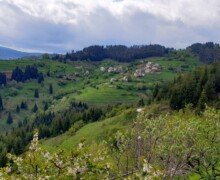 Зорница, горна махала
