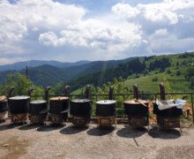 Курбан за здраве и берекет в Зорница